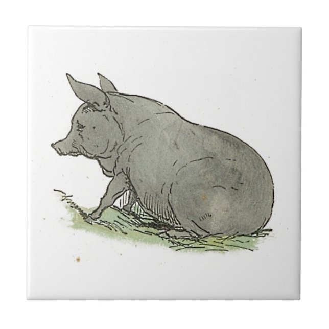 Graue Schweinekinderbuch Schweinezucht Kunst, Kult Fliese (Vorderseite)