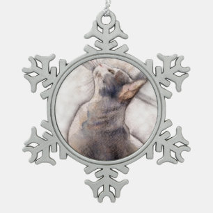 Graue Smokings-Katze in der Schneeflocken Zinn-Ornament