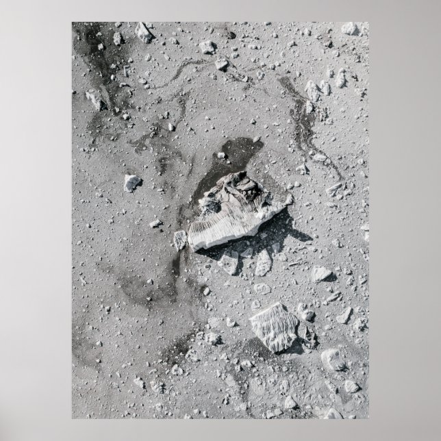 Graue Steine auf grauem Schmutz Poster (Vorne)