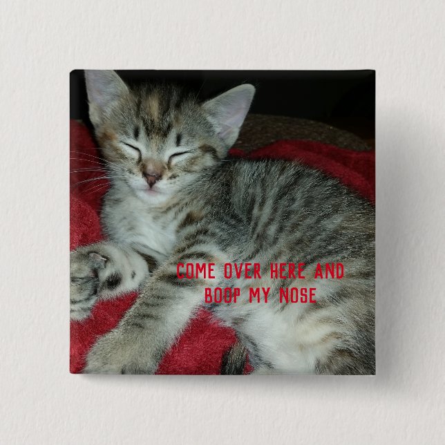 Graue Tabby-Kätzchen stupst meine Nase Button (Vorderseite)