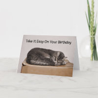 Graue Tabby Katze Schlafen im Kasten Leere