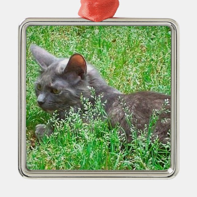 Graue Tortie Katze Ornament Aus Metall (Vorne)