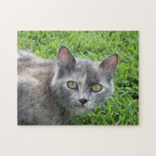 Graue Tortoiseshell Katze im Gras Puzzle