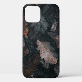 Graue und braune verwitterte Blätter Case-Mate iPhone Hülle
