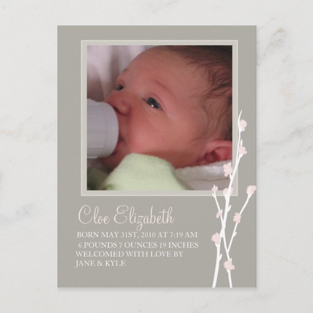 Graue und rosa Blossom-Ankündigung 2 Ankündigungspostkarte (Vorderseite)