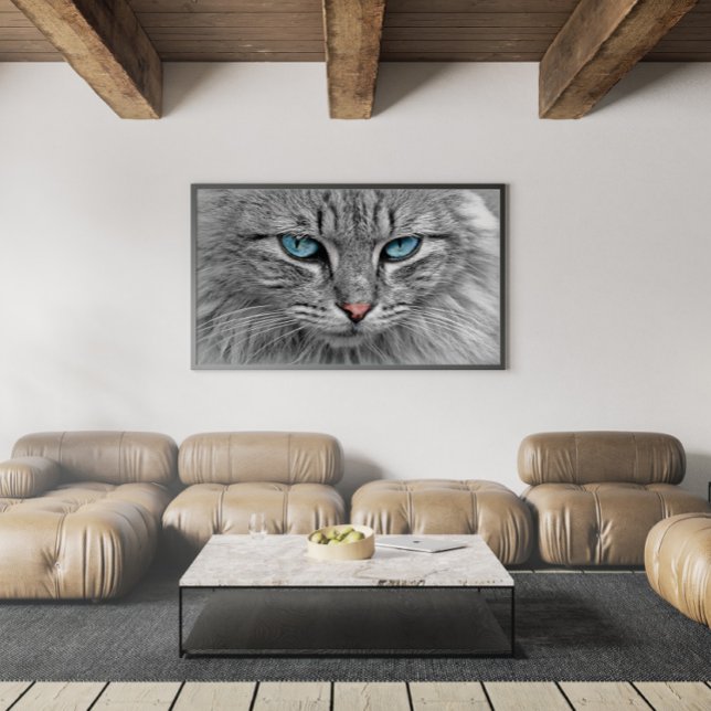 Graue und schwarze Tabby Katze mit schönen blauen  Poster (Von Creator hochgeladen)