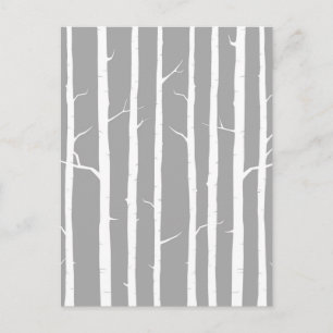 Graue und weiße Birkenbaum Postkarte