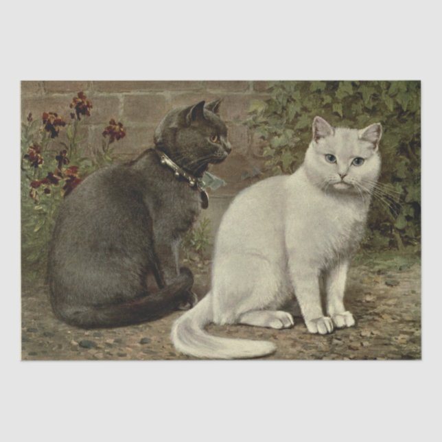 Graue und weiße Katze Ephemera Decoupage Seidenpapier (Vorderseite)