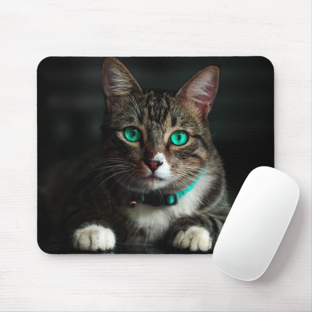 Graue und weiße Katze mit blauen Augen und Matchin Mousepad (Mit Mouse)
