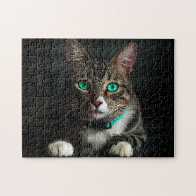Graue und weiße Katze mit blauen Augen und Matchin Puzzle (Horizontal)