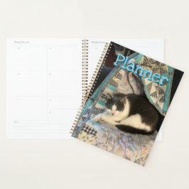 Graue und weiße Katze Planer