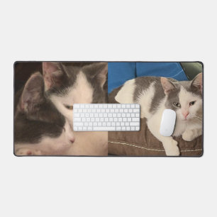 "Graue und weiße Katze" Schreibtischunterlage