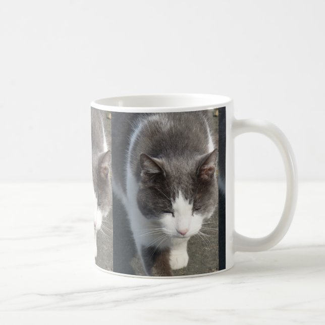 Graue und weiße Katze Tasse (Rechts)