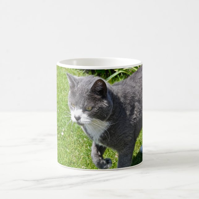 Graue und weiße Katzen-Tasse Kaffeetasse (Mittel)