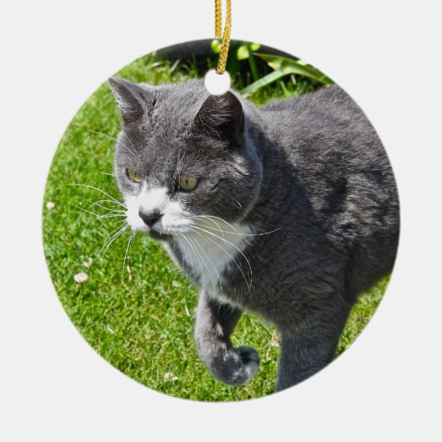 Graue und weiße Katzen-Verzierung Keramik Ornament (Vorne)