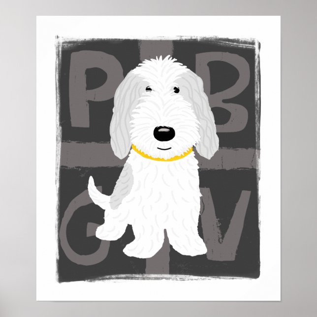 Graue und weiße PBGV Poster (Vorne)