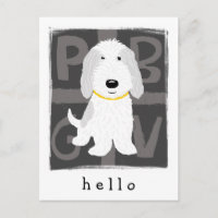 Graue und weiße PBGV