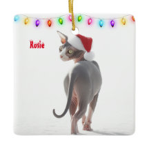 Graue und weiße Sphynx Weihnachten