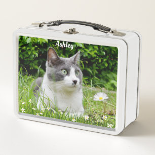 Graue und weiße Tuxedo-Katze individuelles Foto Metall Brotdose