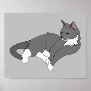 Graue und weiße Tuxedo Katze Poster