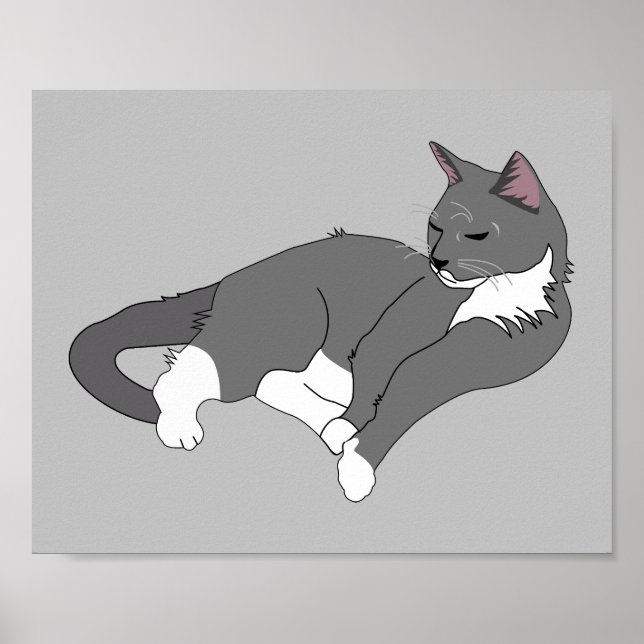 Graue und weiße Tuxedo Katze Poster (Vorne)