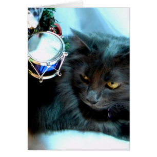 Graue WeihnachtsMiezekatze II