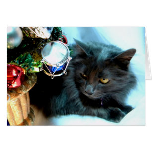 Graue WeihnachtsMiezekatze II
