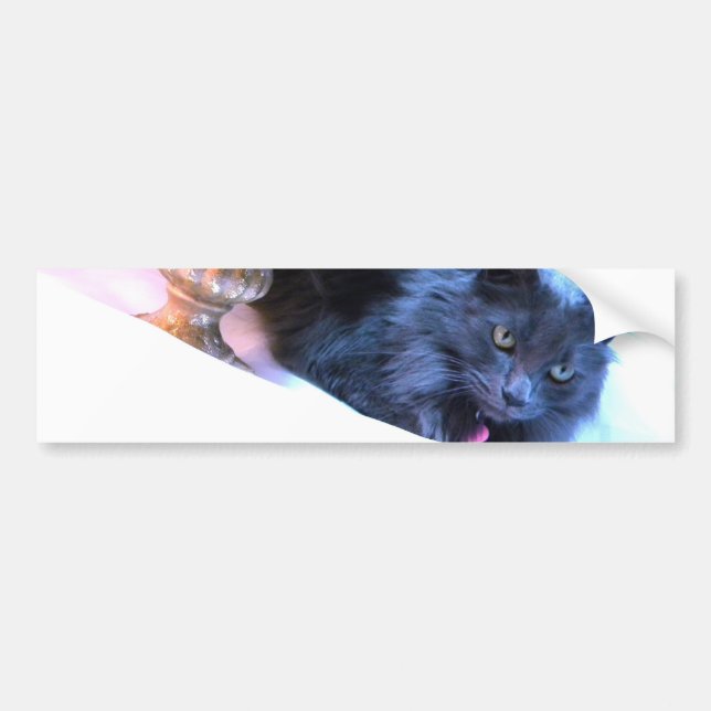 Graue WeihnachtsMiezekatze III Autoaufkleber (Vorne)