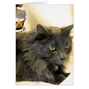 Graue WeihnachtsMiezekatze IIII