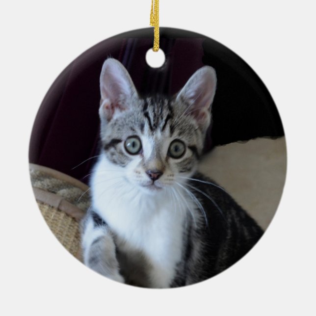 Graue/weiße Tablette Kitten Ornament (Hinten)