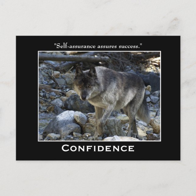 Graue Wolf Motivierend Postkarten (Vorderseite)