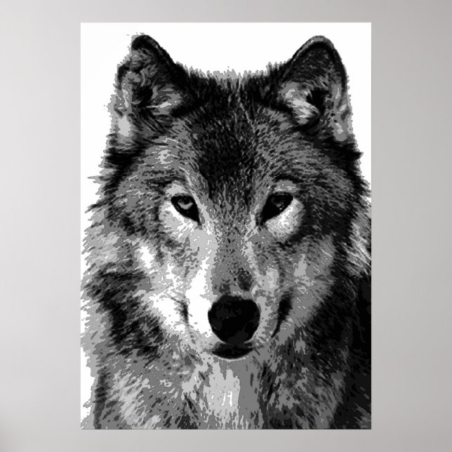 Graue Wolf Poster Print (Vorne)