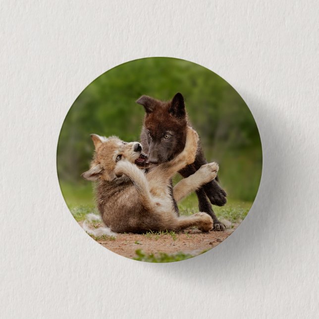 Graue Wolf Pups Wresting Button (Vorderseite)