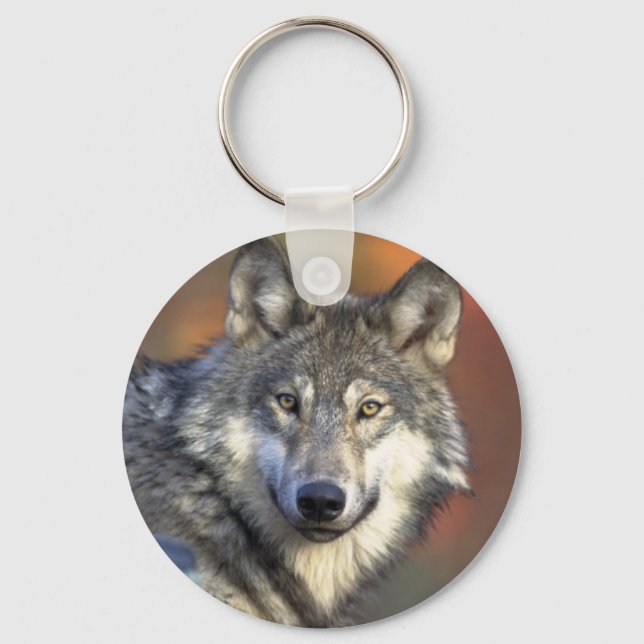 Graue Wolf Schlüsselkette Schlüsselanhänger (Vorderseite)