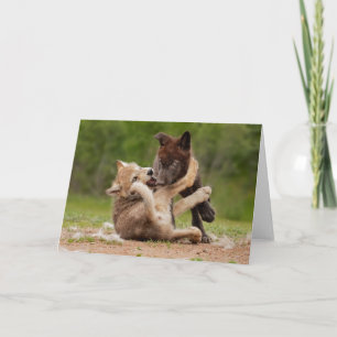Graue Wolf Welpen Ringen Karte