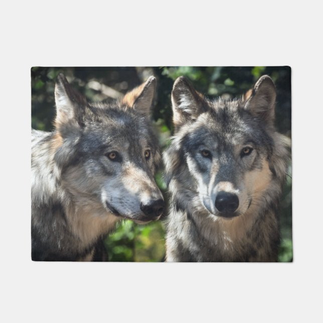 Graue Wölfe in der Wildnis Fußmatte (Vorderseite)