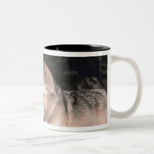 Graue Wölfe Zweifarbige Tasse