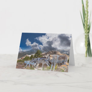 Graue Wolves Familienreise Karte