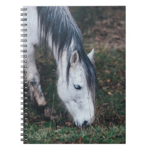 GRAUENHORSE AM HERBSTAG NOTIZBLOCK