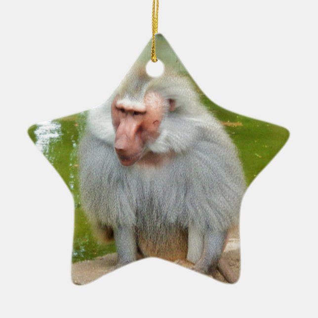 Grauer Affe, Ape Macaque, Natur, Tierwelt Keramikornament (Vorne)