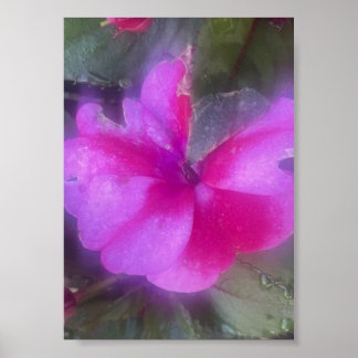 Grauer Blumenposter für einen Tag Poster
