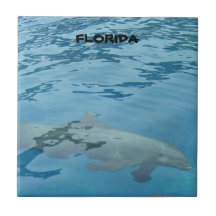 Grauer Delphin schwimmt unter Wasser