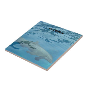 Grauer Delphin schwimmt unter Wasser Fliese