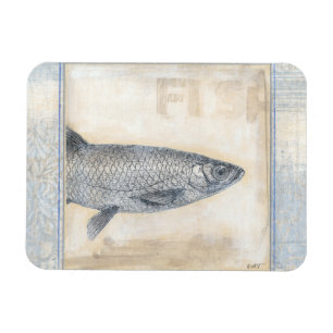 Grauer Fisch auf Beige Hintergrund Magnet