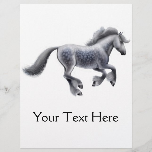 Grauer Flyer (Vorne)