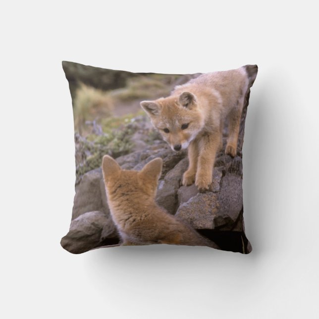 Grauer Fox (Lycalopex griseus) Kissen (Vorderseite)