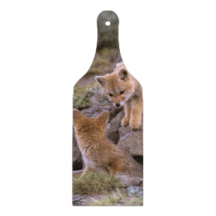 Grauer Fox (Lycalopex griseus) Schneidebrett