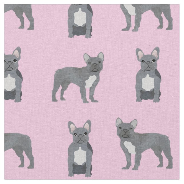 Grauer Französischer Bulldog in Pink Stoff (Nahaufnahme)
