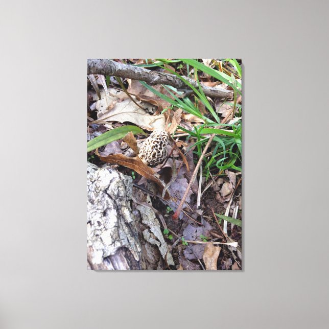 Grauer Frühlingsmörtel auf Leinwand (Vorderseite)