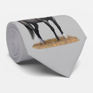 Grauer Grulla Quarter Horse Stallion Krawatte